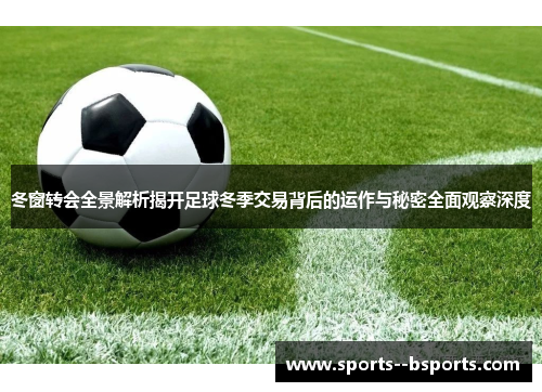 冬窗转会全景解析揭开足球冬季交易背后的运作与秘密全面观察深度