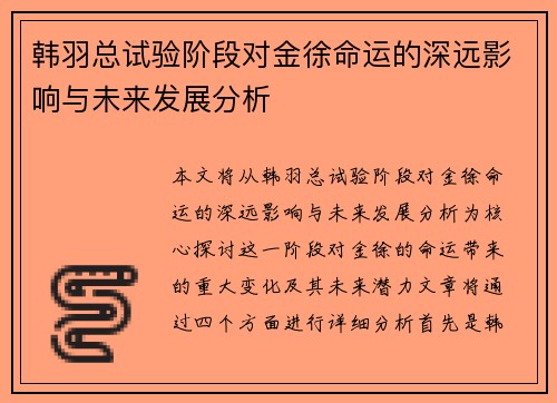 韩羽总试验阶段对金徐命运的深远影响与未来发展分析